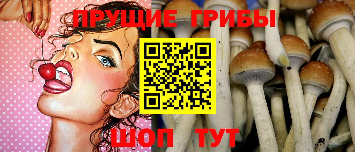 Галлюциногенные грибы прущие грибы  Вход с VPN  Тайшет  Галлюциногенные грибы Cubensis 